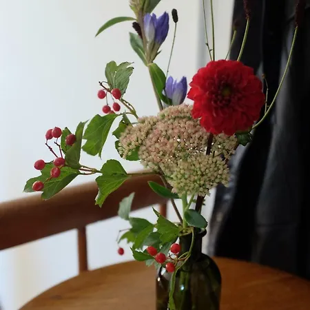 Logis Pastis Maastricht