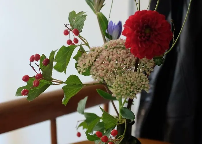 Logis Pastis Maastricht