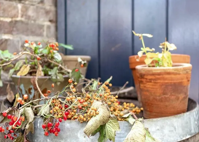 Hotel Logis Pastis Maastricht